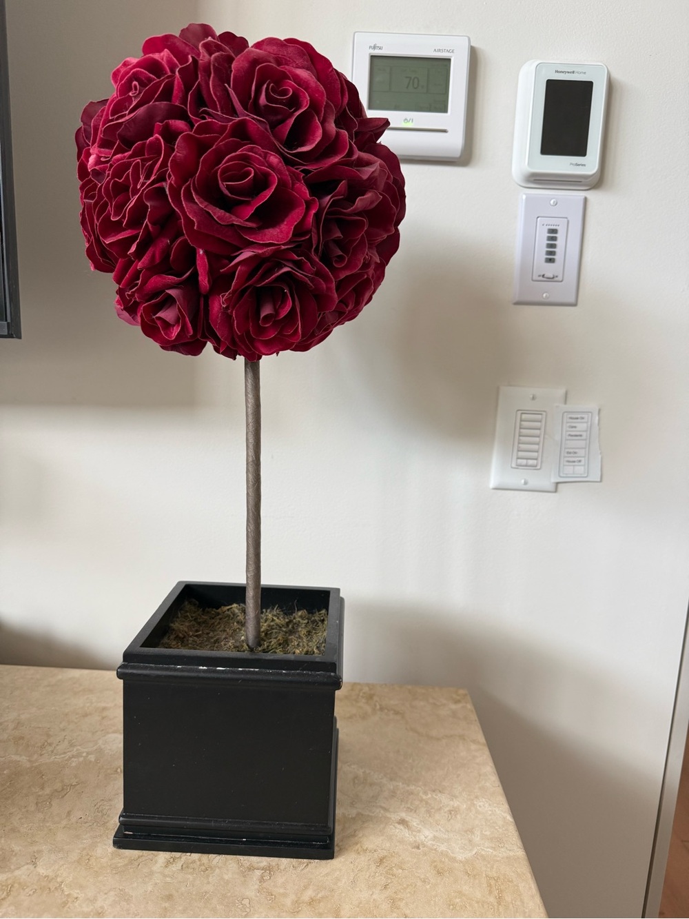 Pier 1 Deep Burgundy Rose Topiary in Black Planter